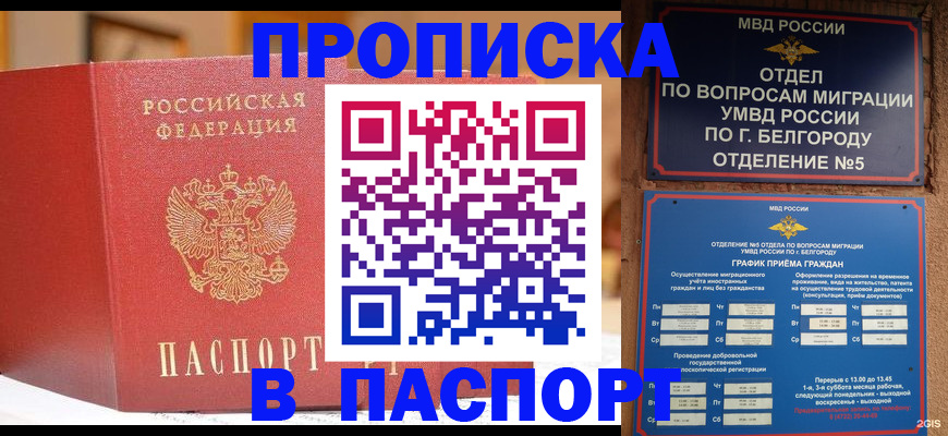 временная регистрация в квартире в Завитинске